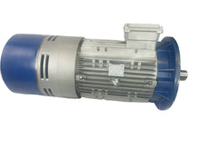 Load image into Gallery viewer, TFP200Lb/2