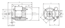 Load image into Gallery viewer, Carpanelli MM90L4 1.5Kw/2.0Hp 110/230V/60Hz 1ph AC Metric Motor or Brake motor